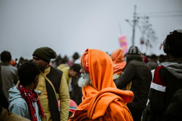 Les croquettes idéales pour votre cavalier king charles